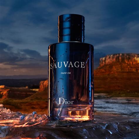 dior eau de sauvage|eau sauvage for men 100ml.